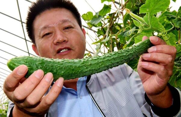 生鮮食材配送為什么大多不能與客戶建立長(zhǎng)期合作？